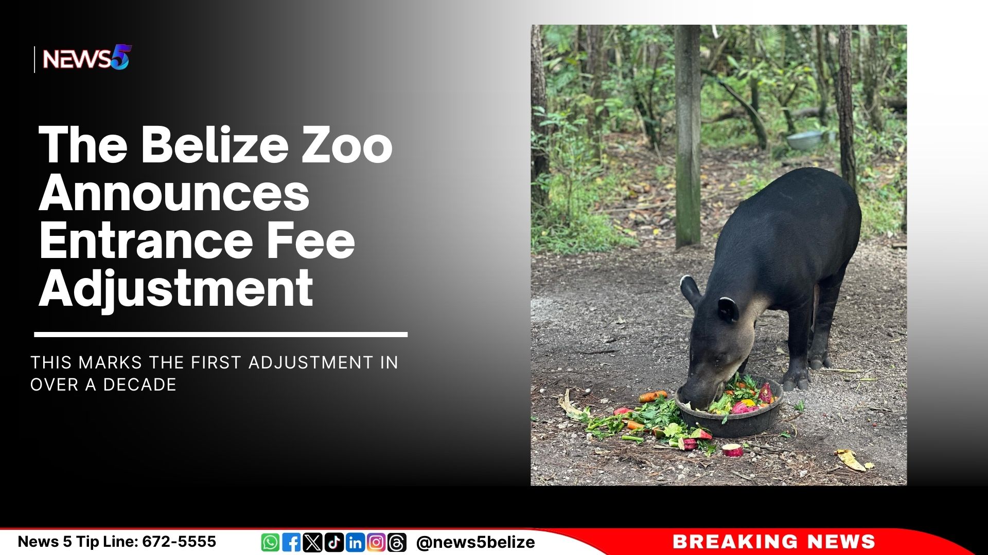 The Belize Zoo Announces Entrance Fee Adjustment