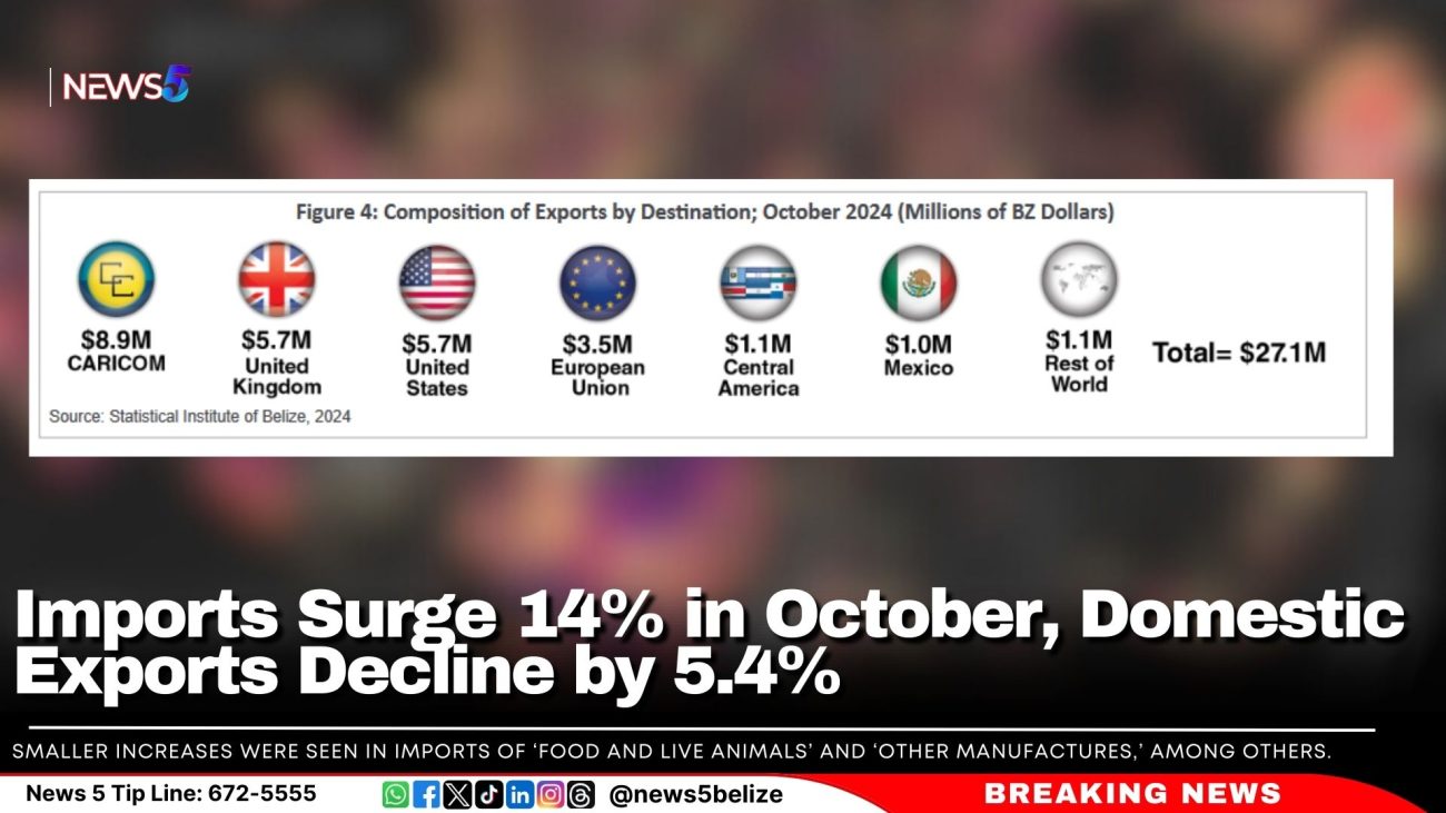 Imports Surge 14% in October, Domestic Exports Decline by 5.4%