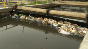 CitCo Depending in DoE to Enforce Laws on Plastic