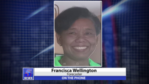 Via phone: Francisca Wellington