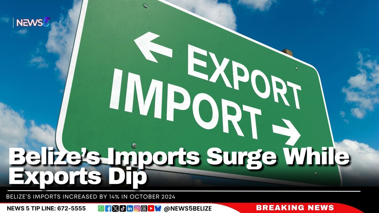 Belize’s Imports Surge While Exports Dip