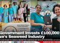 UK Government Invests £100,000 in Belize's Seaweed Industry