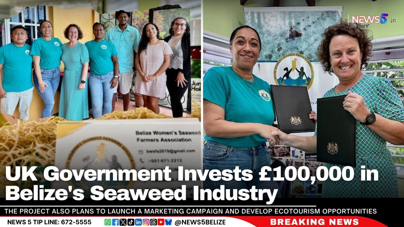 UK Government Invests £100,000 in Belize's Seaweed Industry