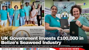 UK Government Invests £100,000 in Belize’s Seaweed Industry