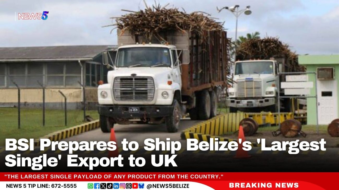 BSI Prepares to Ship Belize's 'Largest Single' Export to UK