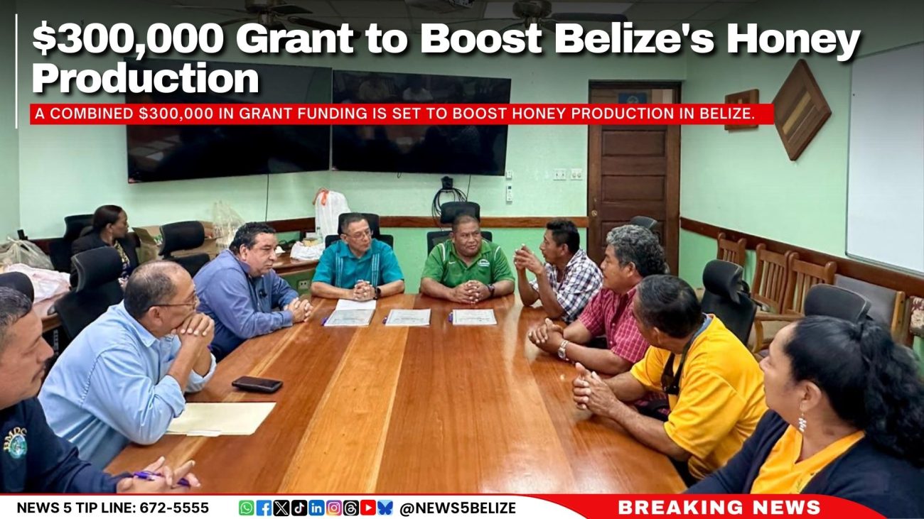 $300,000 Grant to Boost Belize's Honey Production