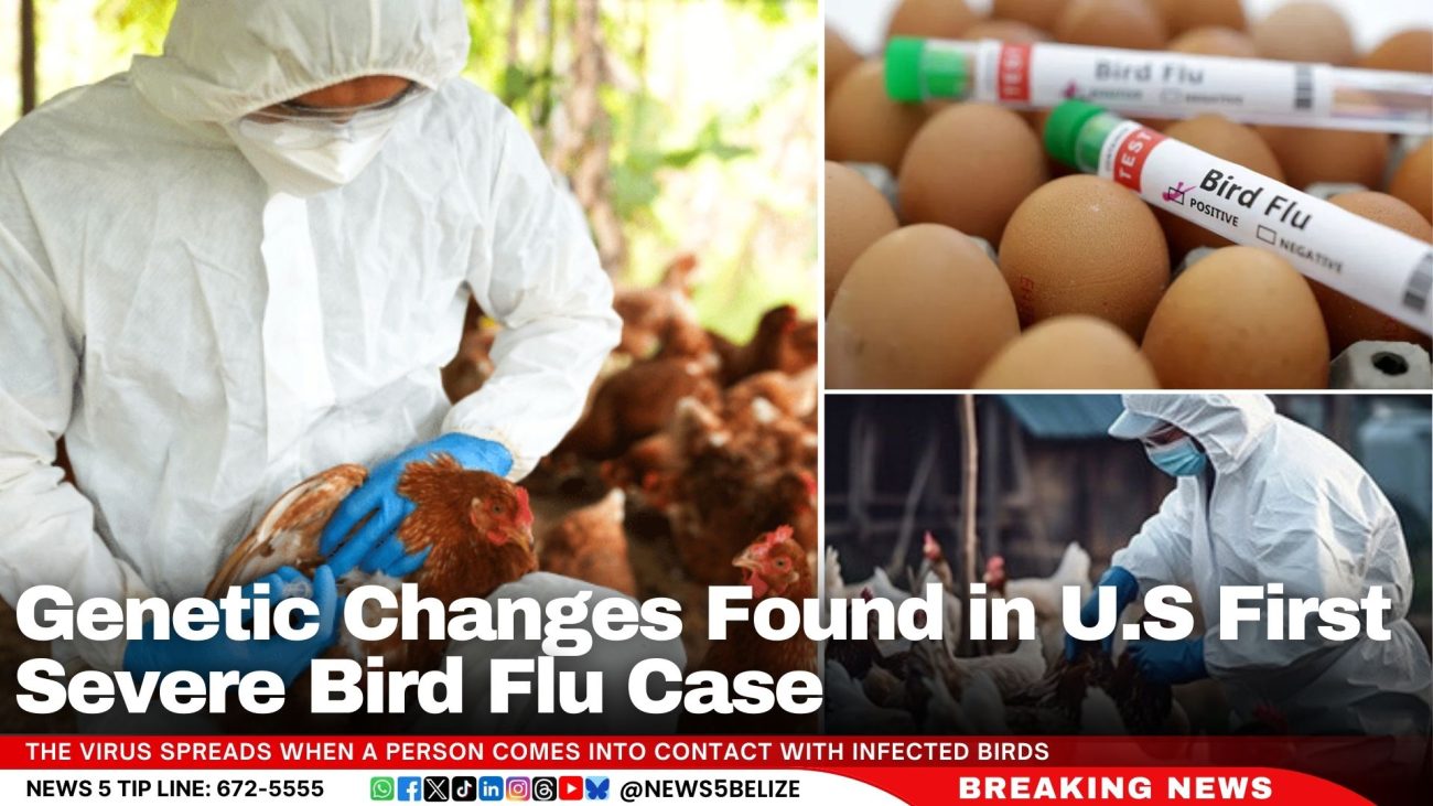 Genetic Changes Found in U.S First Severe Bird Flu Case