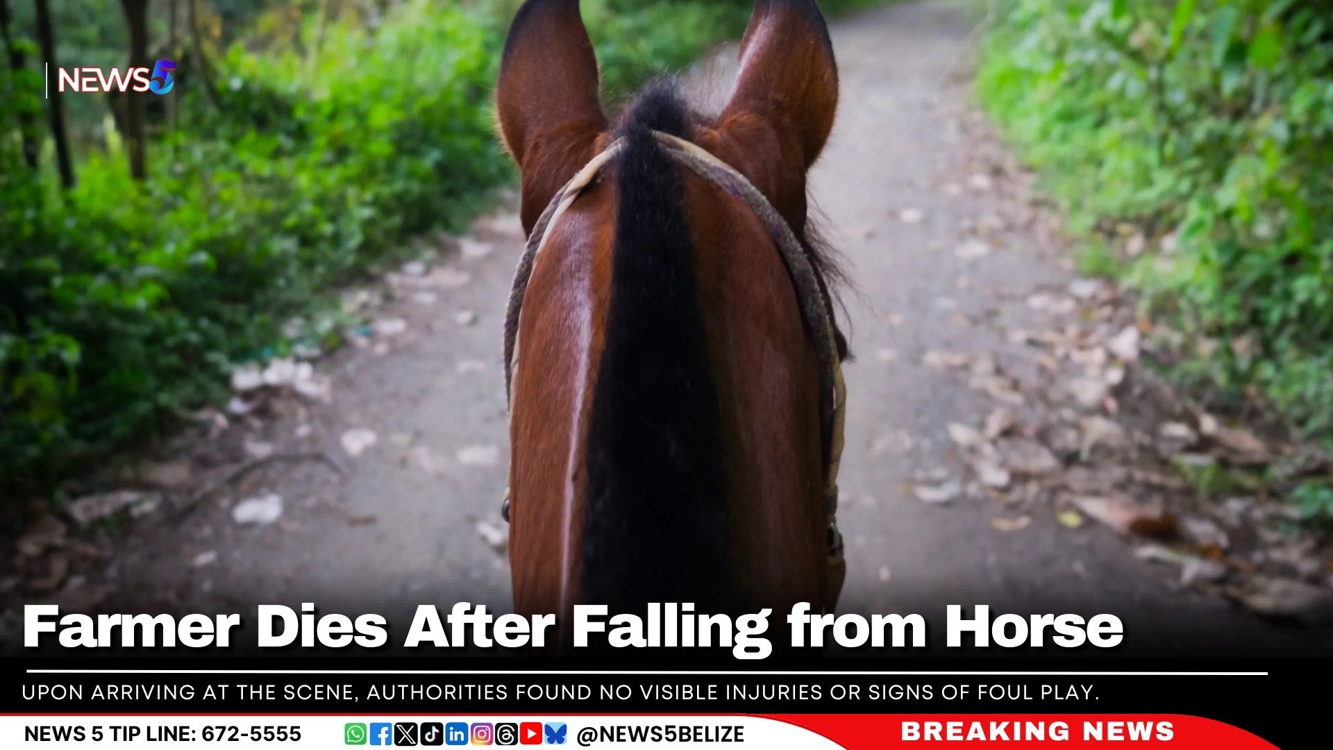 Farmer Dies After Falling from Horse