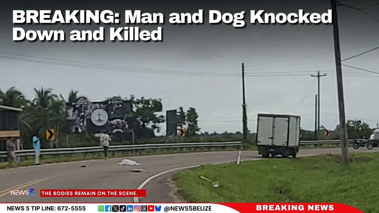 BREAKING: Man and Dog Knocked Down and Killed