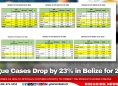 Dengue Cases Drop by 23% in Belize for 2024