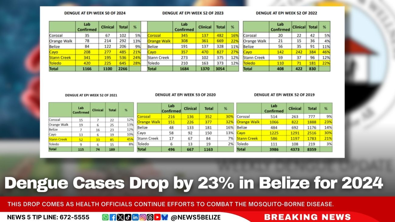 Dengue Cases Drop by 23% in Belize for 2024