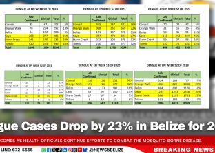 Dengue Cases Drop by 23% in Belize for 2024