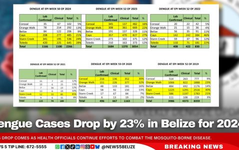 Dengue Cases Drop by 23% in Belize for 2024