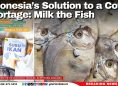 Indonesia’s Solution to a Cow Shortage: Milk the Fish