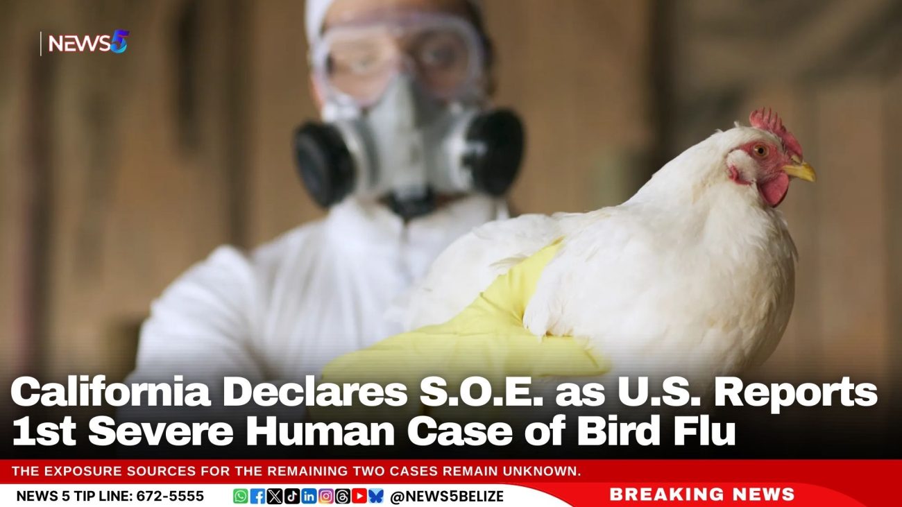 California Declares S.O.E. as U.S. Reports 1st Severe Human Case of Bird Flu