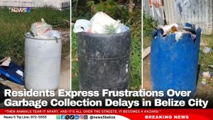 Residents Express Frustrations Over Garbage Collection Delays in Belize City