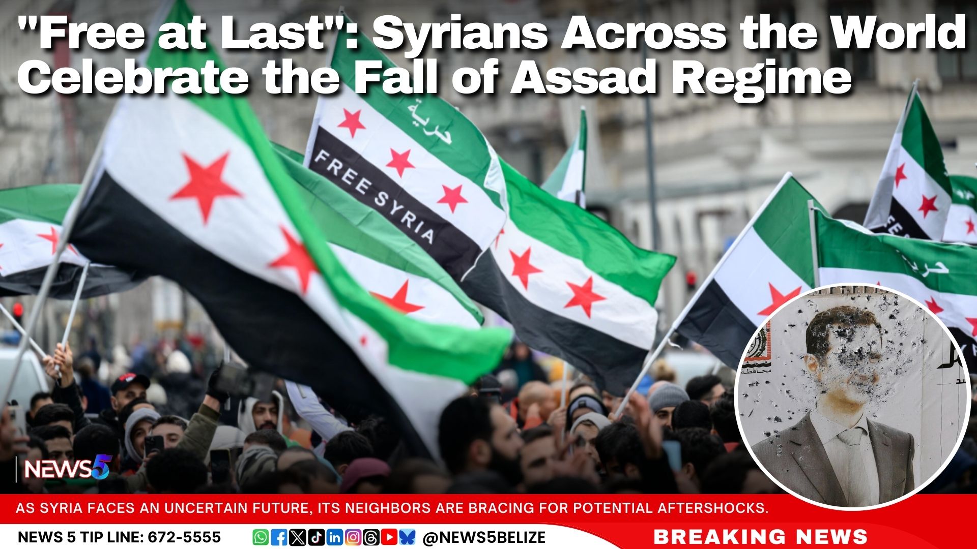 "Free at Last": Syrians Across the World Celebrate the Fall of Assad Regime