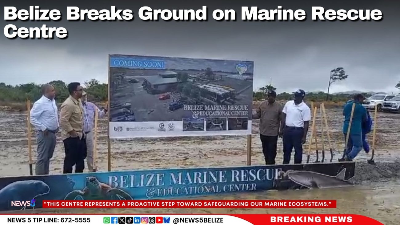 Belize Breaks Ground on Marine Rescue Centre