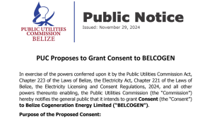 P.U.C. Proposes to Grant Consent to BELCOGEN   