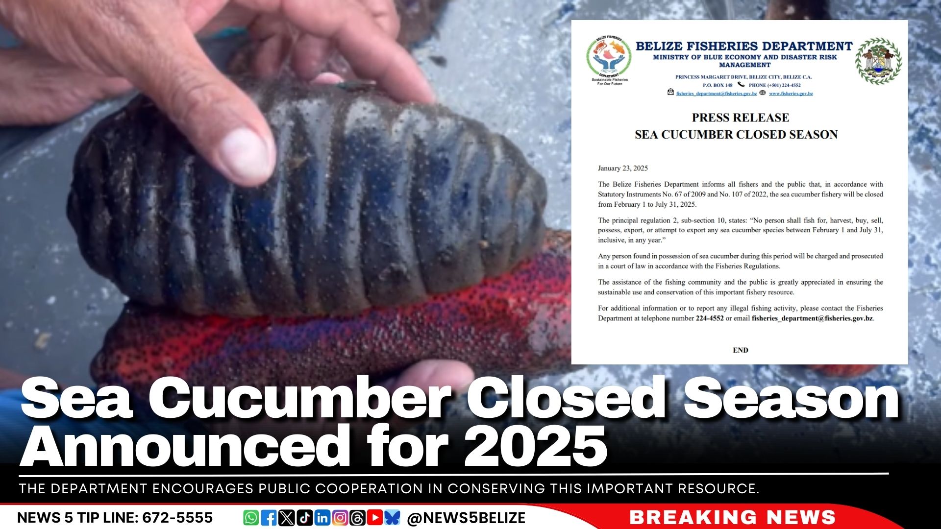 Sea Cucumber Closed Season Announced for 2025