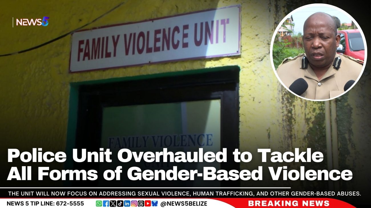 Police Unit Overhauled to Tackle All Forms of Gender-Based Violence