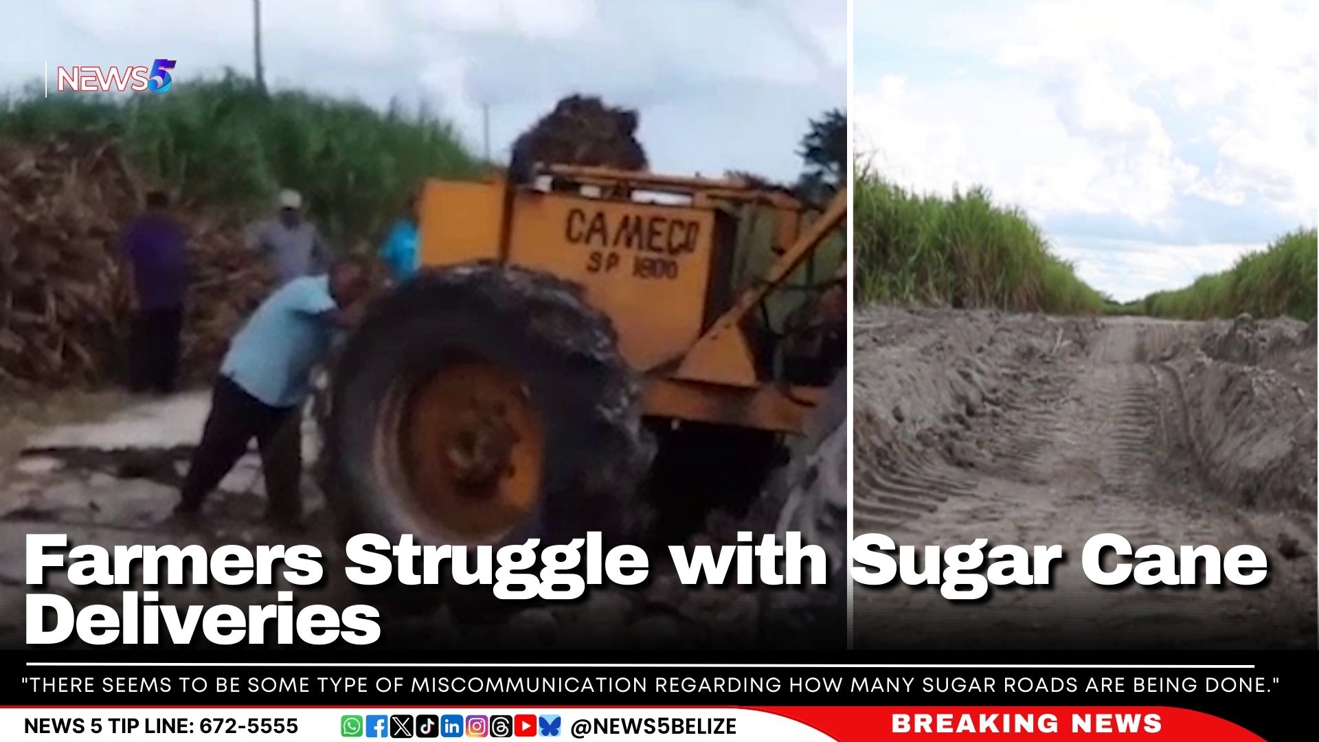 Farmers Struggle with Sugar Cane Deliveries