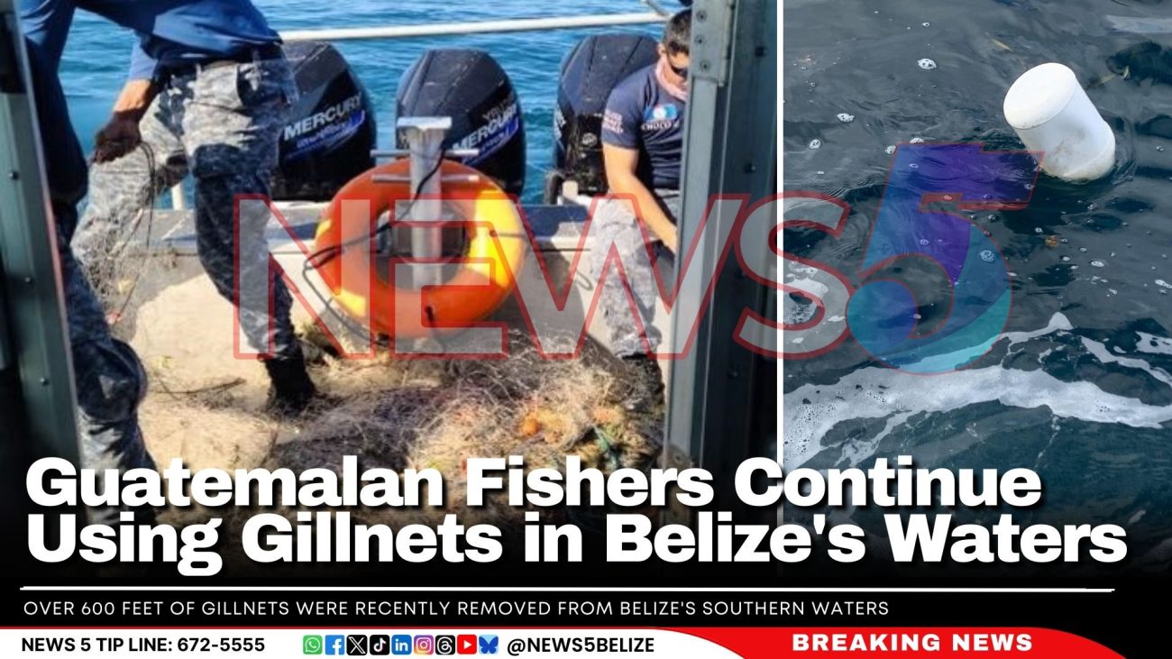 Guatemalan Fishers Continue Using Gillnets in Belize's Waters