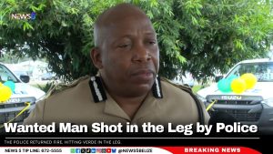 Wanted Man Shot in the Leg by Police 