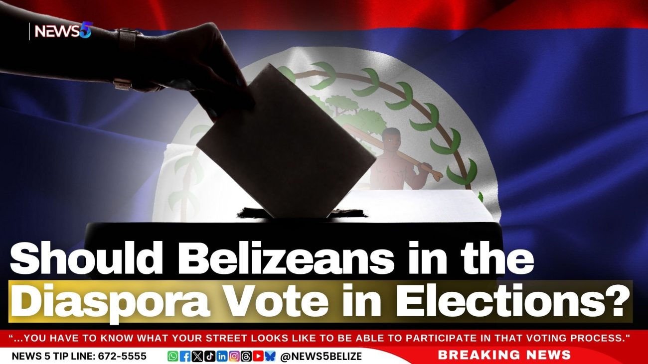 Should Belizeans in the Diaspora Vote in Elections?