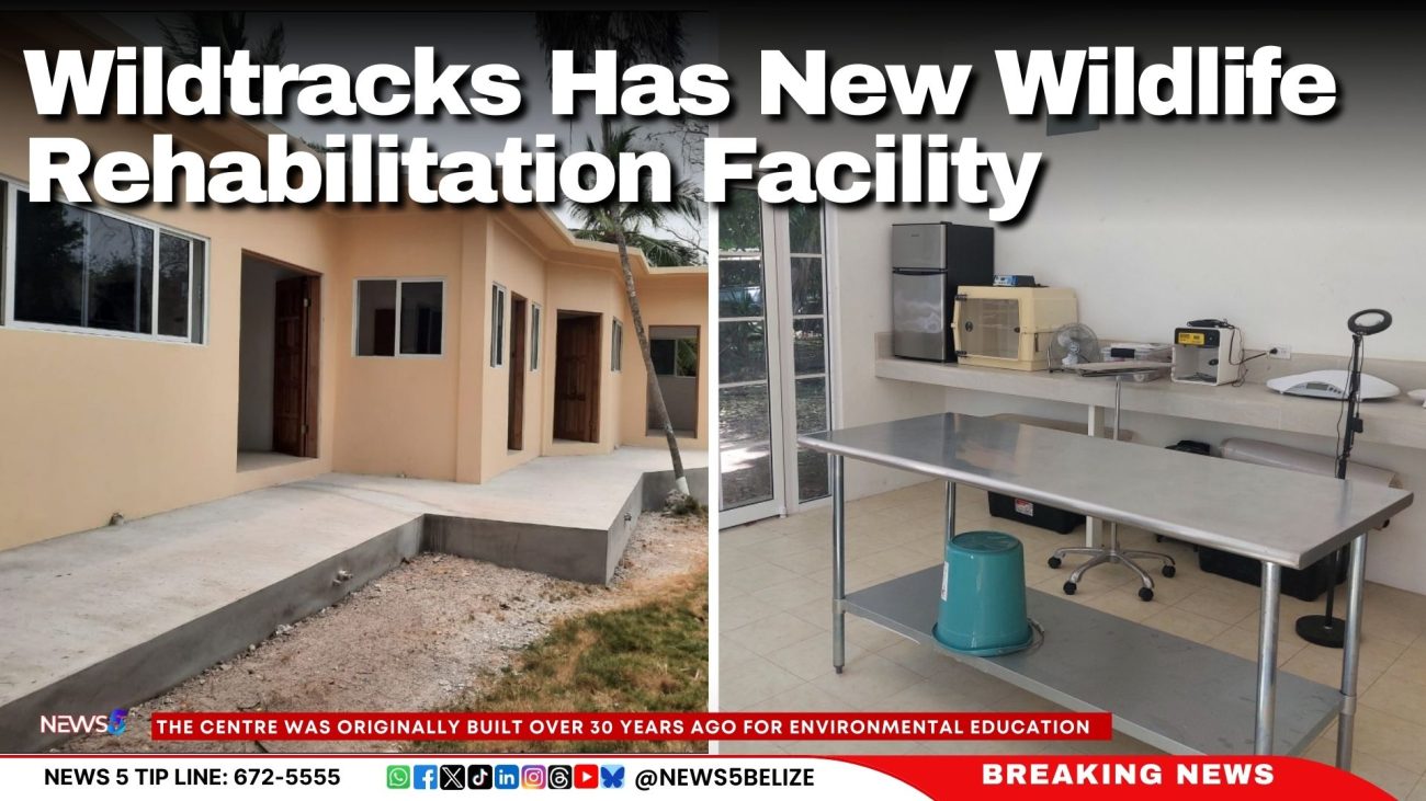 Wildtracks Has New Wildlife Rehabilitation Facility