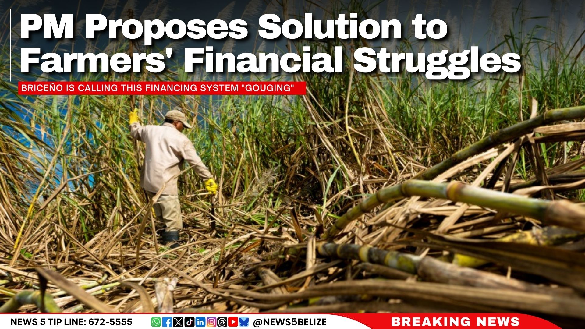 PM Proposes Solution to Farmers' Financial Struggles