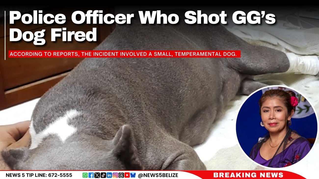 Police Officer Who Shot GG’s Dog Fired