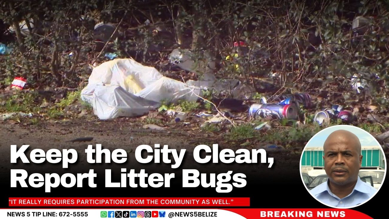 Keep the City Clean, Report Litter Bugs