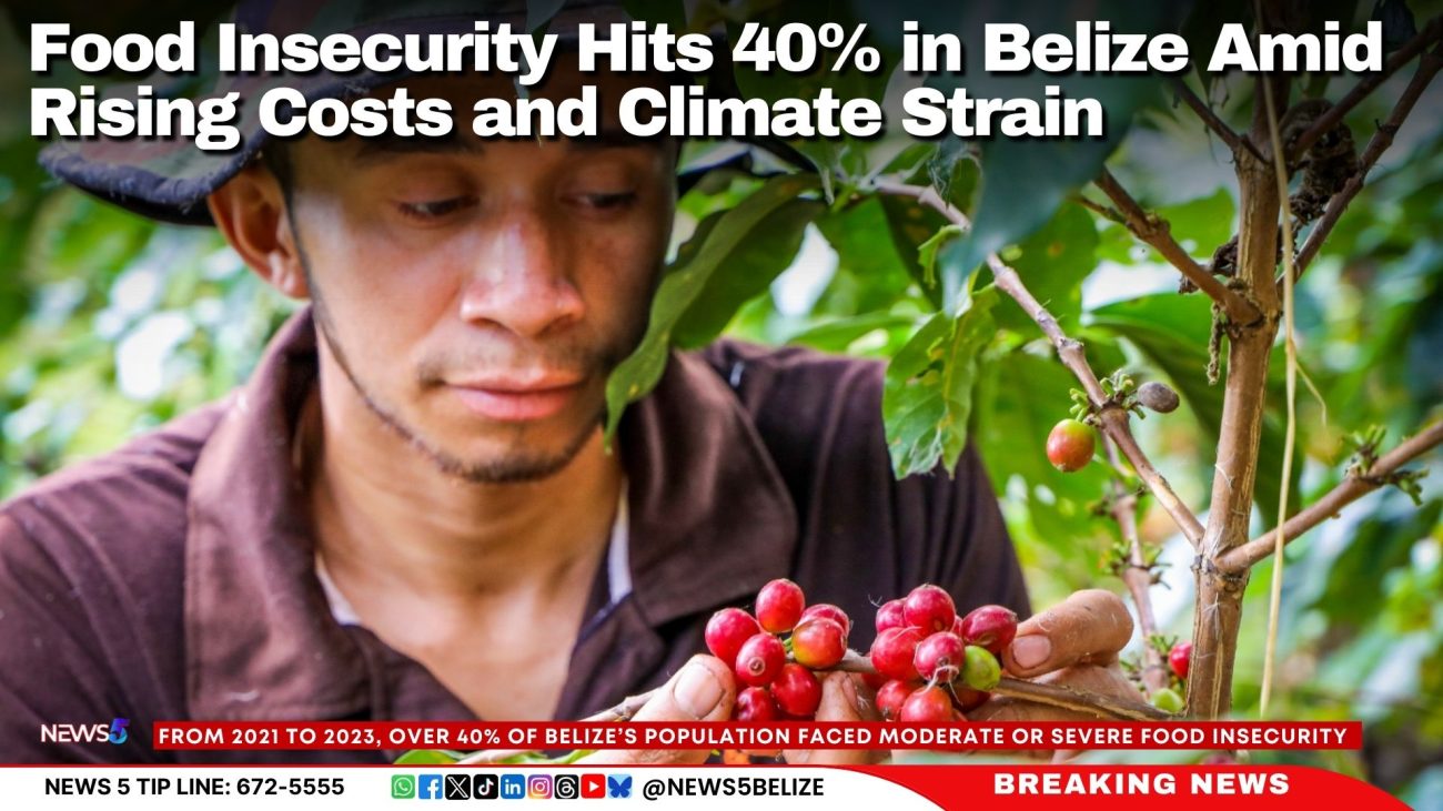 Food Insecurity Hits 40% in Belize Amid Rising Costs and Climate Strain