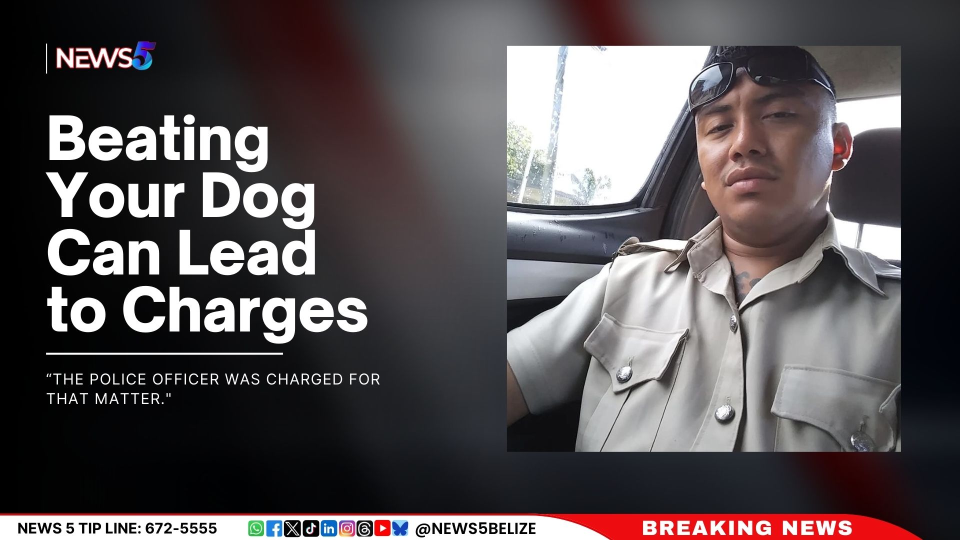 Beating Your Dog Can Lead to Charges