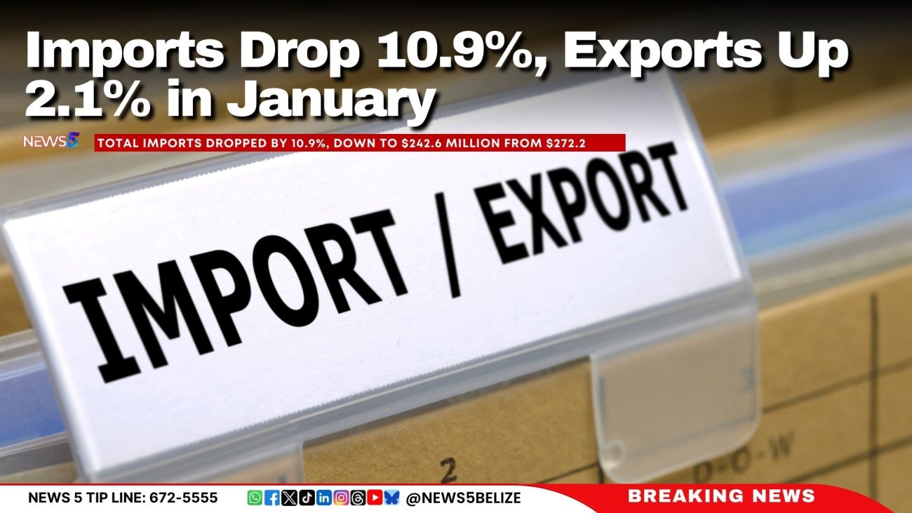 Imports Drop 10.9%, Exports Up 2.1% in January