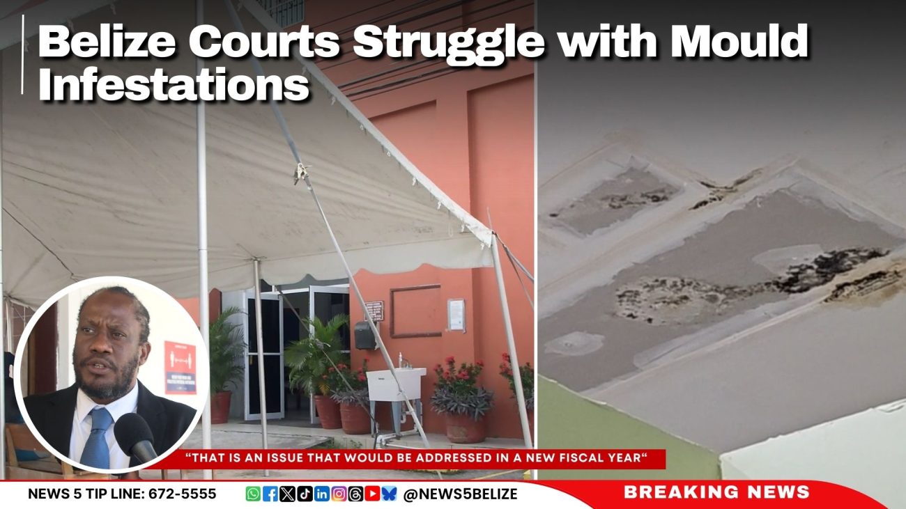 Belize Courts Struggle with Mould Infestations