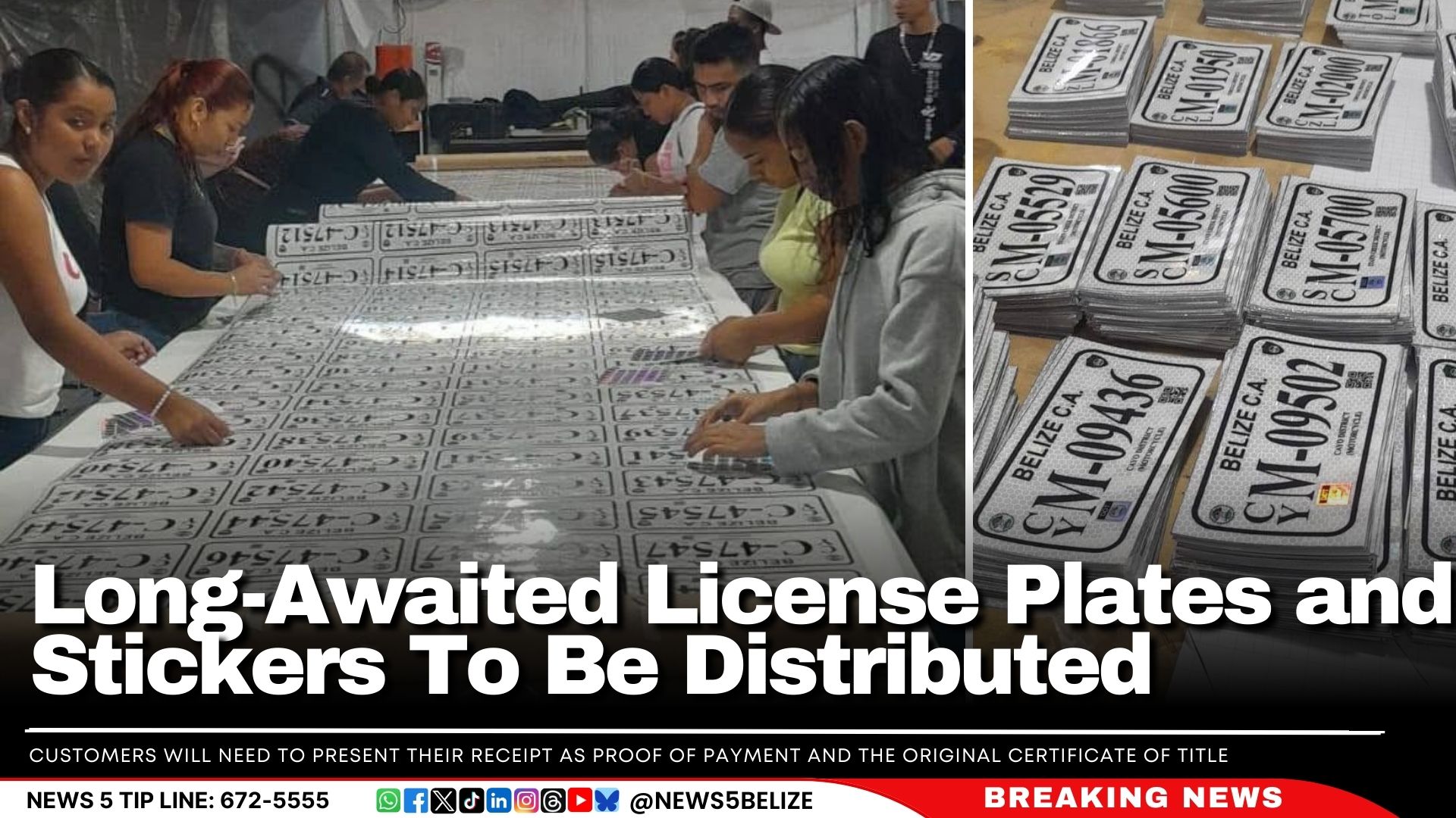 Long-Awaited License Plates and Stickers To Be Distributed