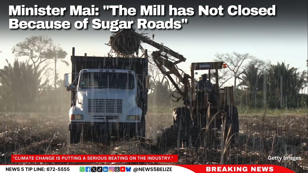 Minister Mai: "The Mill has Not Closed Because of Sugar Roads"