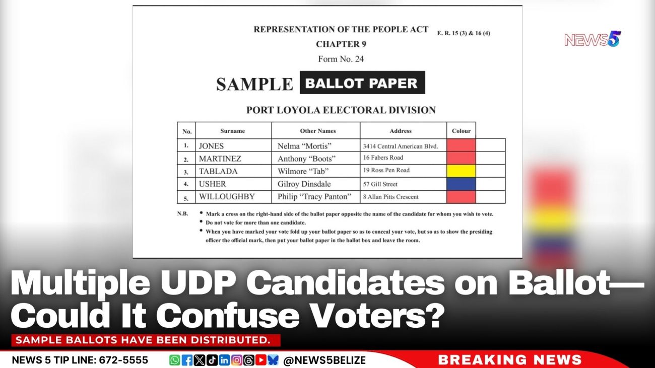 Multiple UDP Candidates on Ballot—Could It Confuse Voters?