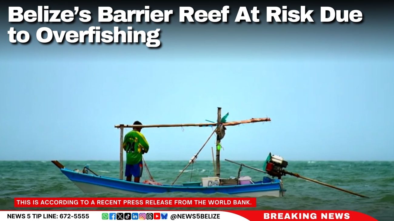 Belize’s Barrier Reef At Risk Due to Overfishing