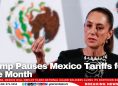 Trump Pauses Mexico Tariffs for One Month