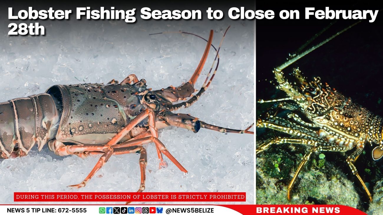 Lobster Fishing Season to Close on February 28th