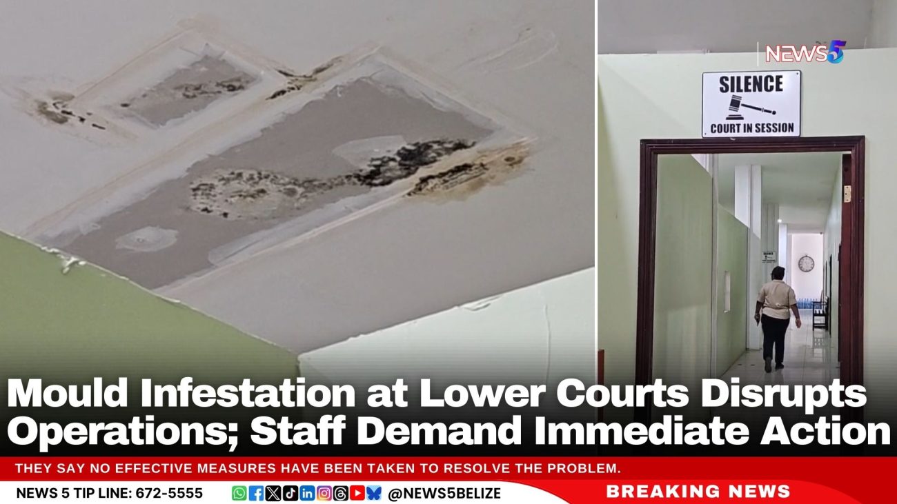 Mould Infestation at Lower Courts Disrupts Operations; Staff Demand Immediate Action