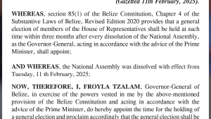 Peyrefitte Takes No Issue with PM Calling Early Election