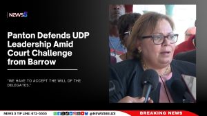 Panton Defends UDP Leadership Amid Court Challenge from Barrow