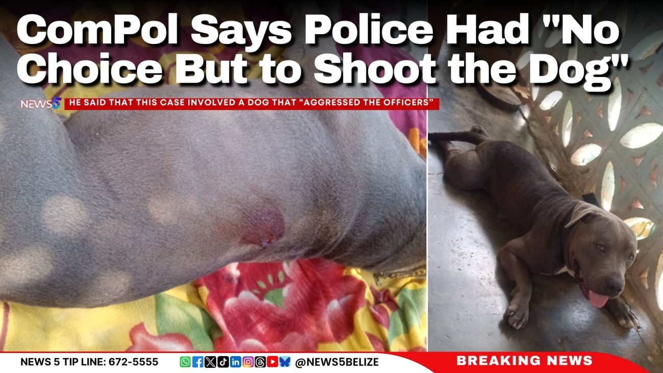 ComPol Says Police Had "No Choice But to Shoot the Dog"