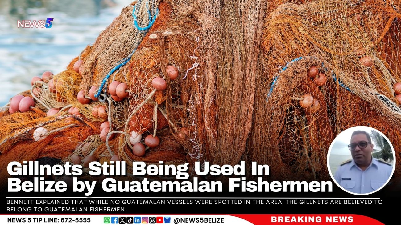 Gillnets Still Being Used In Belize by Guatemalan Fishermen