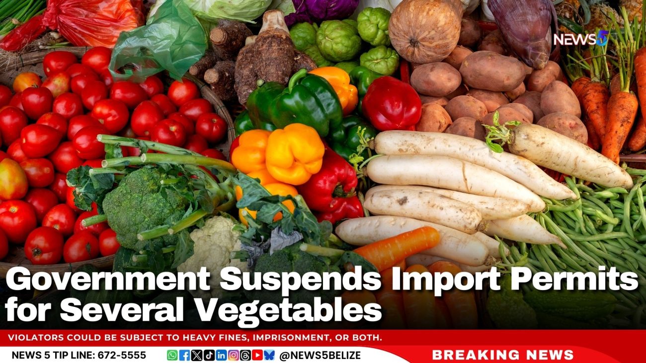 Government Suspends Import Permits for Several Vegetables