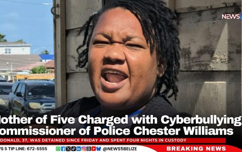 Mother of Five Charged with Cyberbullying Commissioner of Police Chester Williams